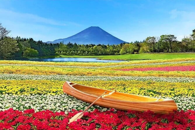 Bullet Train Experience & Mishima Shrine Private Tour from Tokyo - The return Shinkansen at 2 p.m.