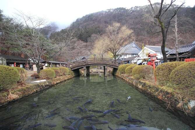 Chartered Private Tour - Tokyo to Nikko, Toshogu, Edo Wonderland - Edo Wonderland: history with costumes and stage shows