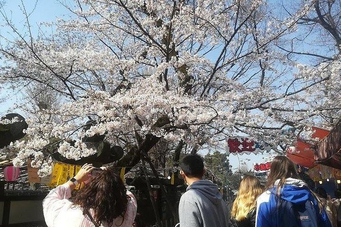 Cherry Blossom Highlights, Asakusa, Ueno, Imperial Palace Garden - Senso-ji and the walk through Nakamise
