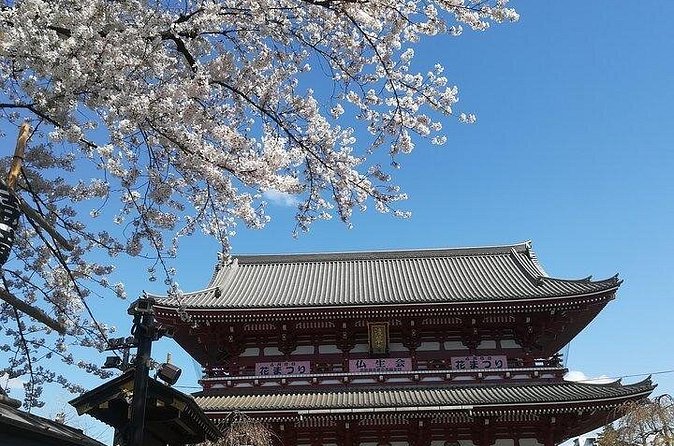 Cherry Blossom Highlights, Asakusa, Ueno, Imperial Palace Garden - Ueno Park’s blossoms and old temple grounds