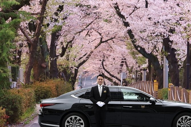 Cherry Blossom Private Tour - Key points at a glance