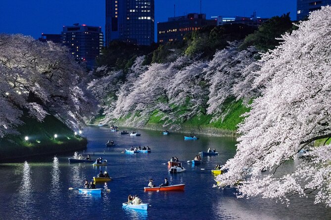 Cherry Blossom Private Tour - Timing the tour around the blossom forecast