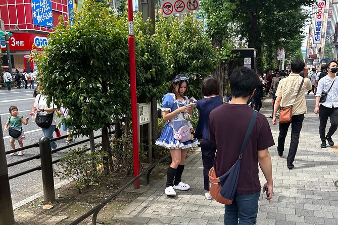 Crazy about Anime! Private Full Day Tokyo Manga Anime Tour by Chartered Vehicle - How the four stops fit together