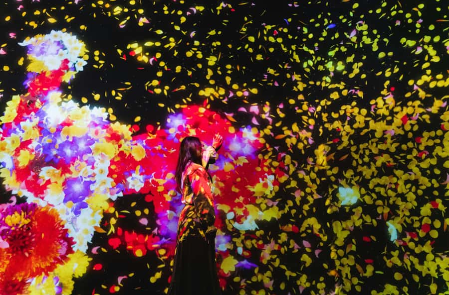 Crowd-Free Tokyo : teamLab, Roppongi Hills Views & NACT - Why this route gives you a sharper look at modern Tokyo