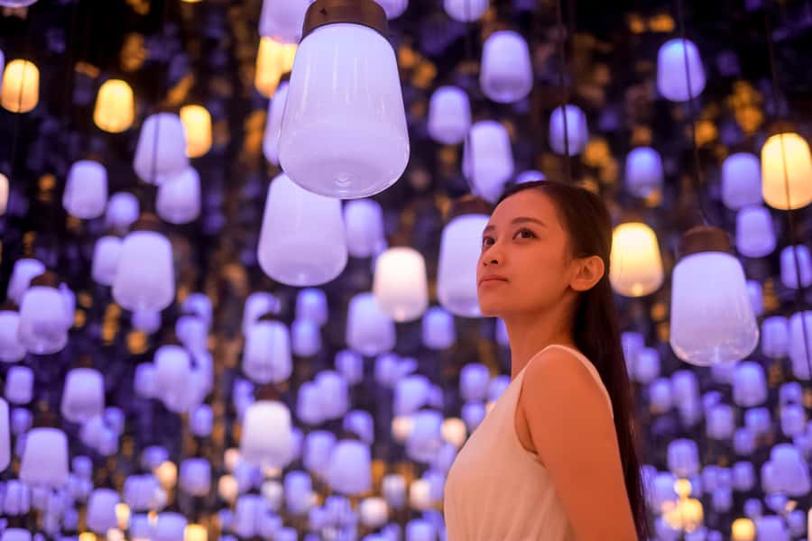 Crowd-Free Tokyo : teamLab, Roppongi Hills Views & NACT - Starting at Roppongi Station and Tokyo Midtown