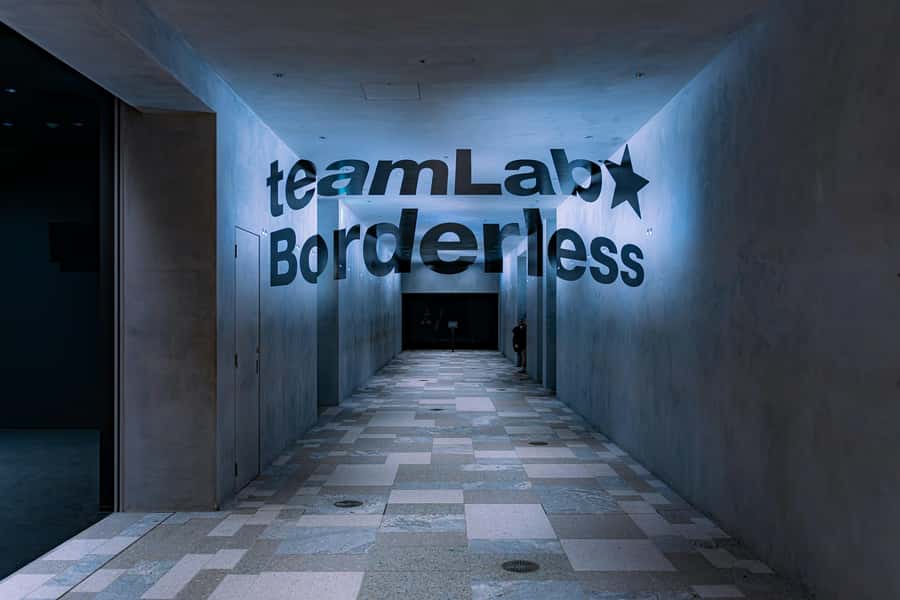 Crowd-Free Tokyo : teamLab, Roppongi Hills Views & NACT - How much value do you get for $129?