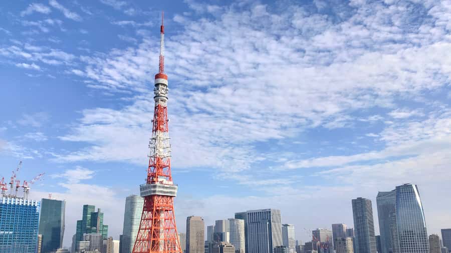 Crowd-Free Tokyo : teamLab, Roppongi Hills Views & NACT - Guides, language choices, and the feel of the tour