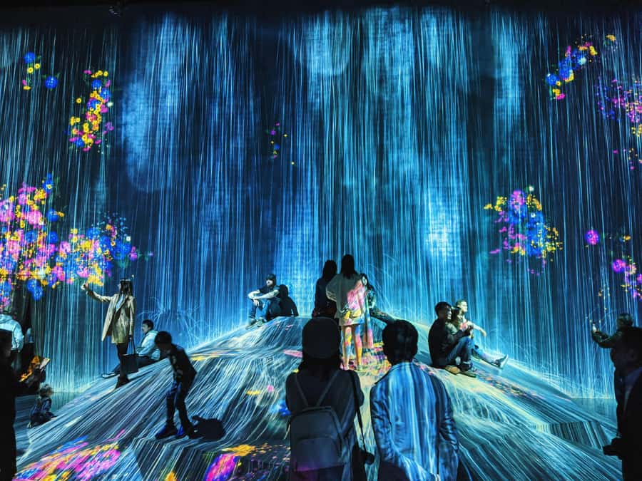 Crowd-Free Tokyo : teamLab, Roppongi Hills Views & NACT - Walking demands and practical preparation