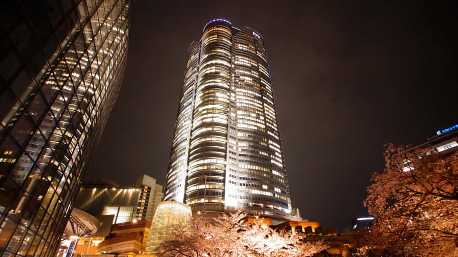 Crowd-Free Tokyo : teamLab, Roppongi Hills Views & NACT - Who should book this Roppongi art route?