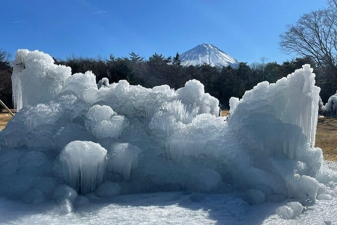 Customisable Mt.Fuji Private Day Trip, English Speaking Driver - Chureito Pagoda requires 398 steps