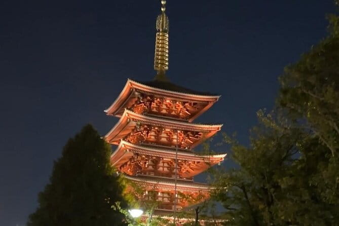 Customizable Private Tokyo Trip with an English Speaking Driver - Senso-ji and the old heart of Asakusa