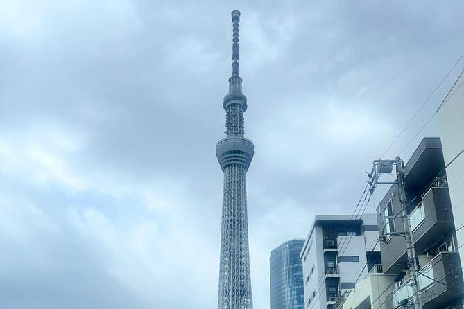 Customizable Private Tokyo Trip with an English Speaking Driver - Odaiba for the big photo stops