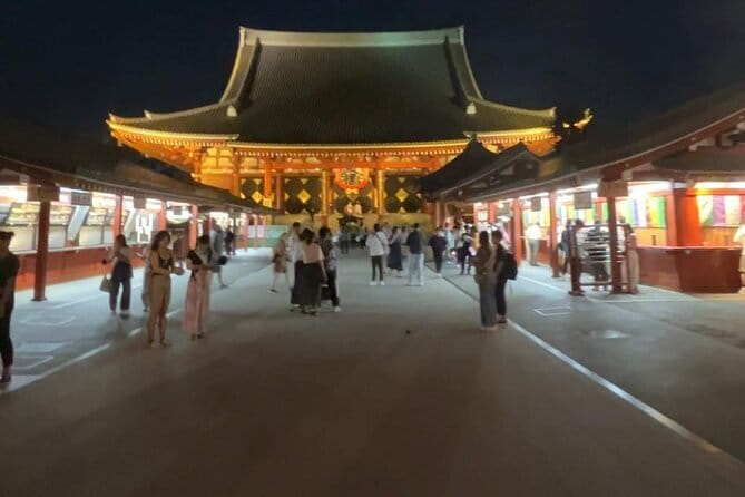Customizable Private Tokyo Trip with an English Speaking Driver - Starting at Tsukiji before the stalls close