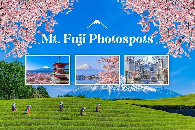 Customizable Tokyo Tour - How much value do you get for $65.15?