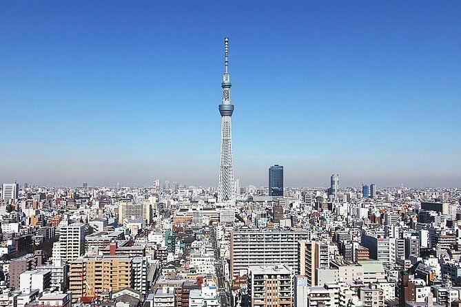 Day Private City Tour of Tokyo with English speaking driver - Tsukiji Fish Market: a quick start in central Tokyo
