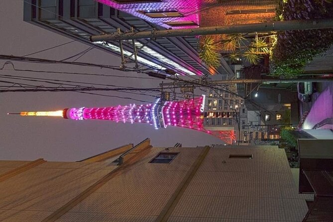 Day Private City Tour of Tokyo with English speaking driver - Tokyo Skytree: the costly viewpoint option