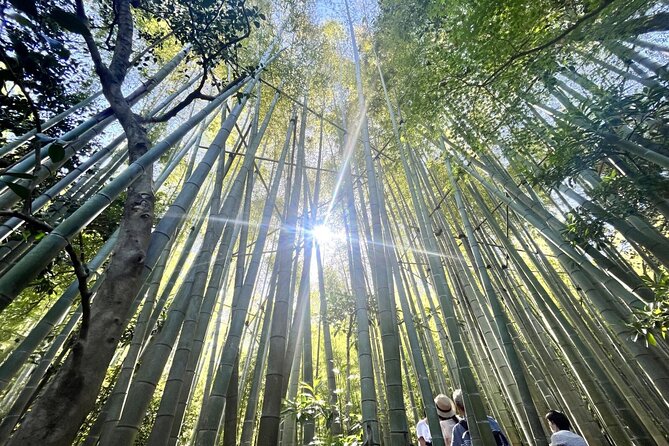 Day Trip to Kamakura & Enoshima: Shrines, Seaside, Temples & Tea - What the $167.36 price really covers