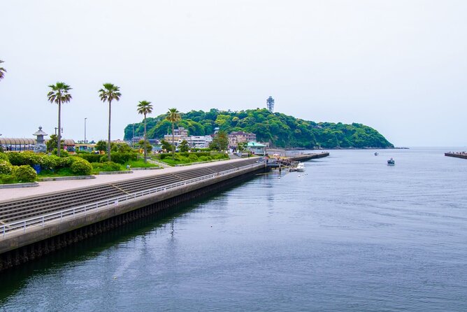 Day Trip to Kamakura & Enoshima: Shrines, Seaside, Temples & Tea - Walking, food, and what to bring