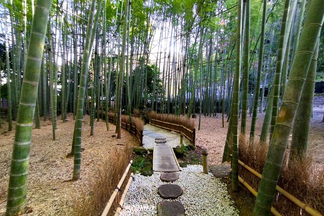 Day Trip to Kamakura & Enoshima: Shrines, Seaside, Temples & Tea - Meeting at Shinjuku and taking the 8:27 train
