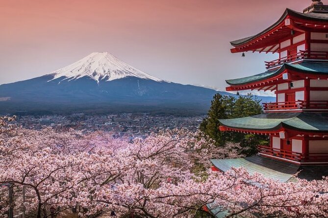 Day Trip To Mount Fuji and Hakone from Tokyo with English Guide - What the Private Vehicle Adds