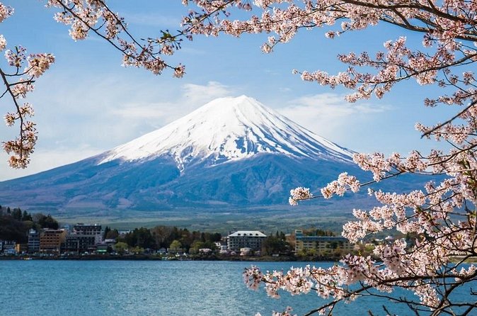 Day Trip To Mount Fuji and Hakone from Tokyo with English Guide - Mount Fuji 5th Station at 2,300 Meters