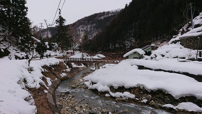Day Trip to See the Snow Monkeys from Shinjuku with Lunch Buffet - What you may see at the hot spring