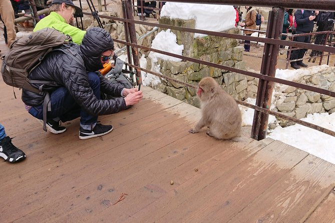 Day Trip to See the Snow Monkeys from Shinjuku with Lunch Buffet - Guide support, timing, and the return to Shinjuku