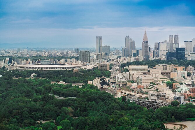 Discover Japanese Politics Over a Coffee in Tokyo - Why the small group matters