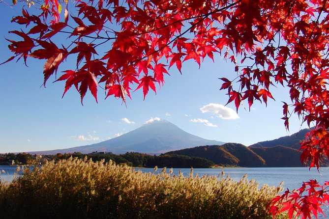 Discover Mt. Fuji 5th Station & Kawaguchiko Sightseeing Day Tour - Lunch at Fuji-Q Highland depends on your package