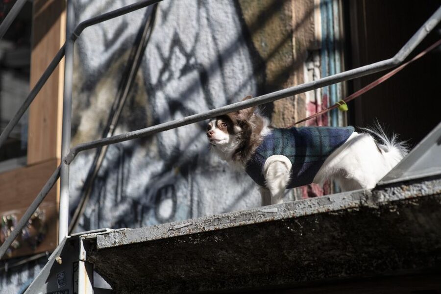 Discover Shimokitazawa: Tokyo’s Bohemian Neighbourhood - Key points at a glance
