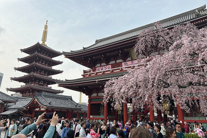 Discover the hidden gems of Tokyo:Private Tour with a Local Guide - Ueno, Imado, and the quieter side of old Tokyo