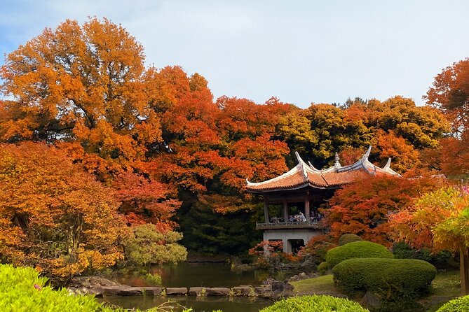 Discover the History of Shinjuku Gyoen – Private Walking Tour - Key points to know before booking