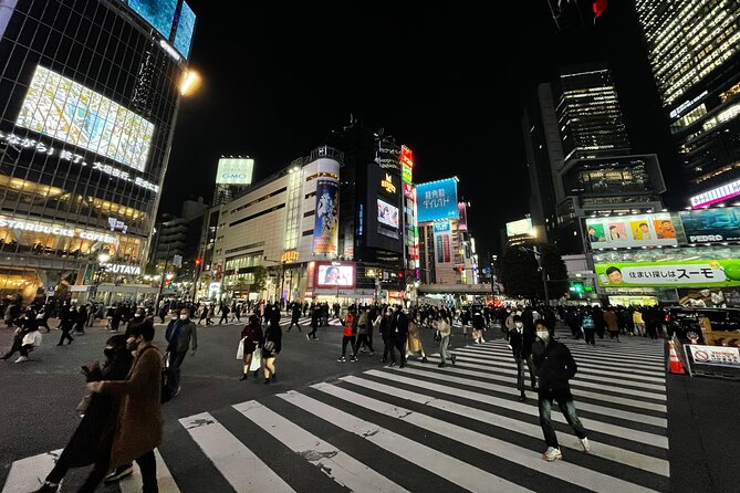 Discover Tokyo: 3-Hour Private Guided Photo Walking Tour - Akihabara for signs, electronics, and anime culture