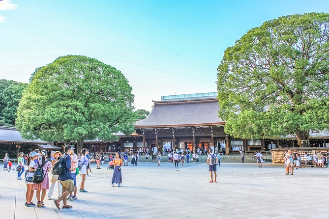 Discover Tokyo, Private Customized Tour with Expert Guides - Tokyo Tower brings the classic city view