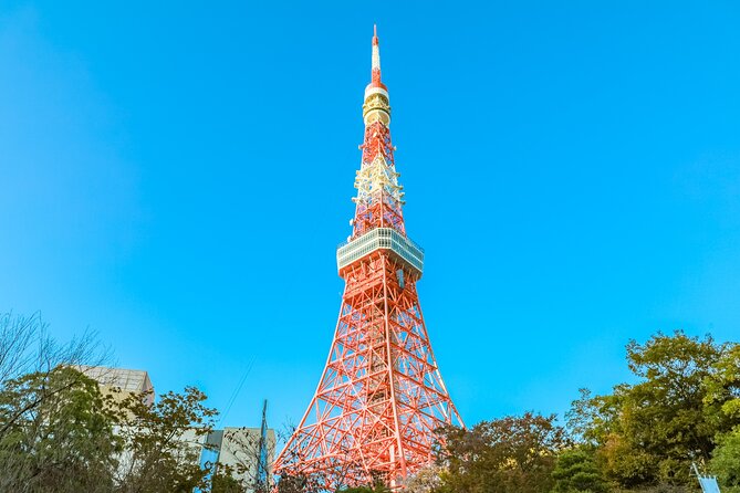 Discover Tokyo, Private Customized Tour with Expert Guides - The real cost of the $99.10 price