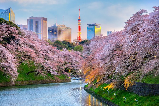 [electric bicycle tour]: 6-hour travel course by electric bicycle Asakusa, Ueno Park, Edo-Tokyo Museum, and Sky Tree. (There is a support car.) - Riding into Asakusa and entering Senso-ji