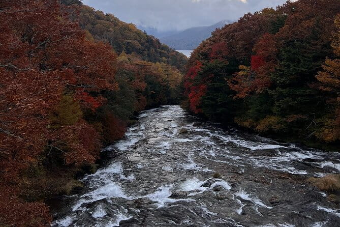 English-speaking guided day tour of Nikko with a private vehicle - Toshogu Shrine deserves the longest stop