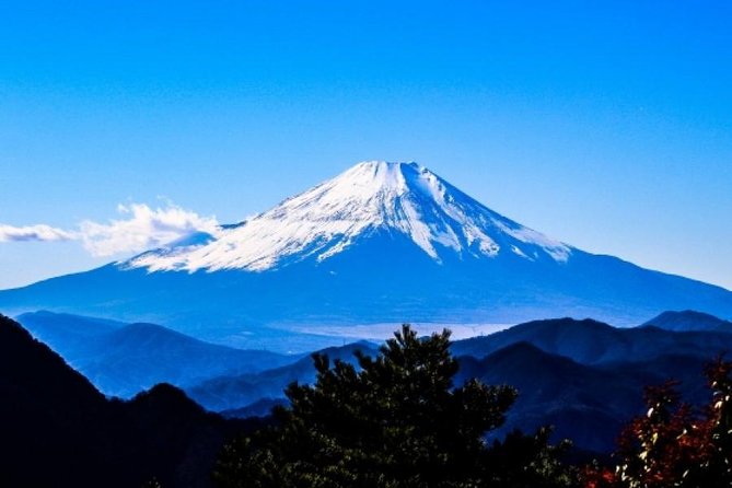 Enjoy Mt. Fuji View and free time shopping at Gotemba Outlets! - Arakura Fuji Sengen Shrine and the famous uphill view
