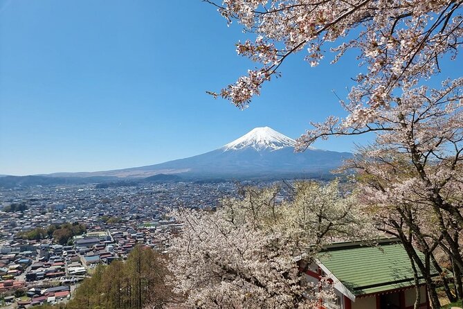 Enjoy Mt. Fuji View and free time shopping at Gotemba Outlets! - Mt. Fuji’s 5th Station and changes to the plan