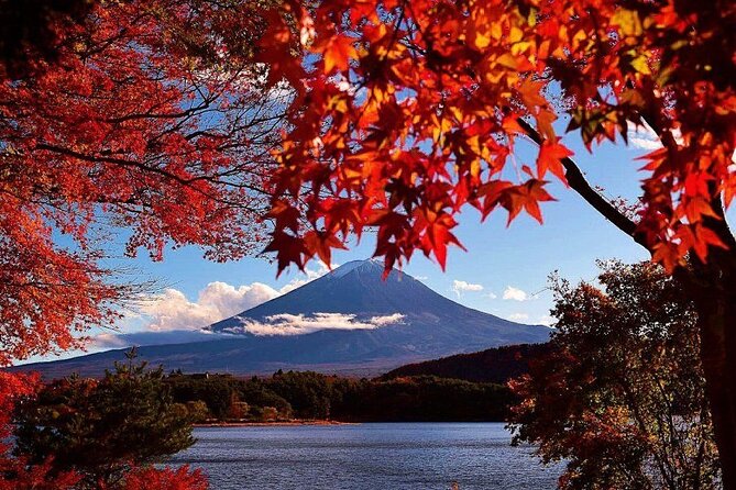 Enjoy Mt. Fuji View and free time shopping at Gotemba Outlets! - Transport, guides, and the shared-tour rhythm