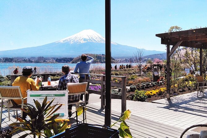 Enjoy Mt. Fuji View and free time shopping at Gotemba Outlets! - Oishi Park and Lake Kawaguchi