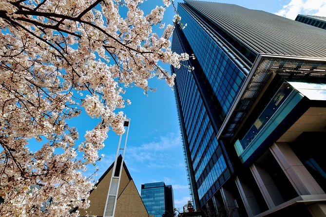 Essential tour for fashion and art in Tokyo for 6 hours with local lunch - Shibuya Cat Street for casual fashion and food