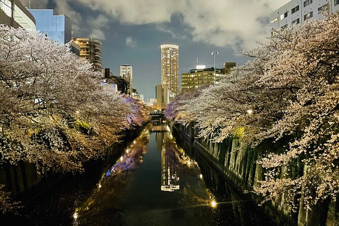 Exciting Evening of Eats in Tokyo - Three dinner stops, one evening of Japanese food