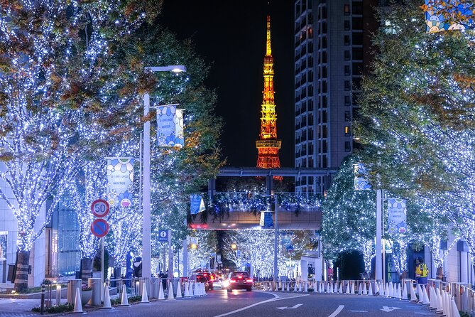 Experience the Magic of Christmas in Tokyo - Why a private Christmas drive makes sense in Tokyo