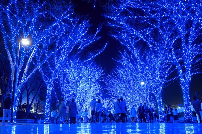 Experience the Magic of Christmas in Tokyo - Ginza and Marunouchi shift from spectacle to city style