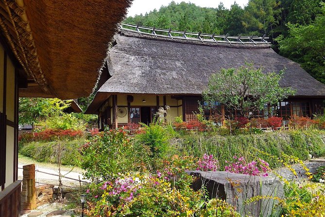 Experience the Stunning Nature of Mt.Fuji - Private Tour - Oishi Park and the Shift to Lake Saiko