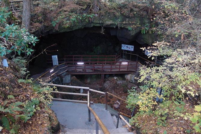 Experience the Stunning Nature of Mt.Fuji - Private Tour - Fugaku Wind Cave in Aokigahara Forest