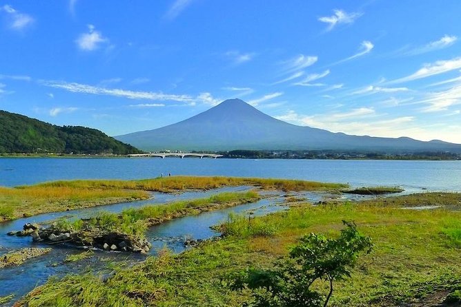 Experience the Stunning Nature of Mt.Fuji - Private Tour - What the $1,248 Group Price Really Buys You