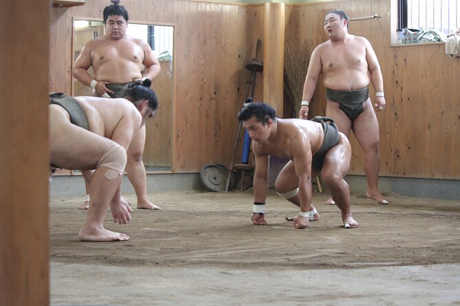 Experience the Sumo World in Tokyo - Who will get the most from this sumo experience