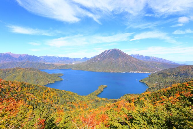 Explore the Culture and History of Nikko with this Private Tour - Toshogu Shrine and the Tokugawa story